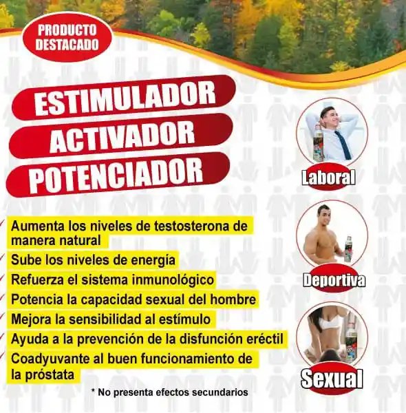 Mero Macho Jarabe - Imagen 2